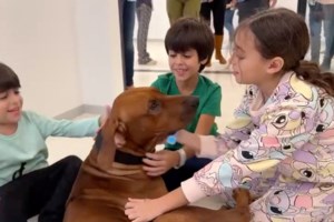 Ισραήλ: Η Χαμάς παρέδωσε άλλους 12 ομήρους - Πληροφορίες για επέκταση της εκεχειρίας