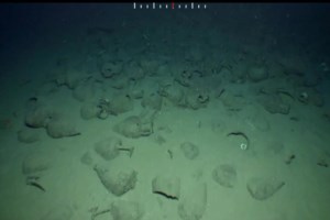 Homo bodoensis: Ανακαλύφθηκε νέος πρόγονος του ανθρώπου - Ζούσε στην Αφρική πριν 500.000 χρόνια