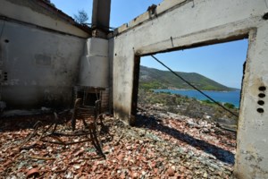 Αδιάκοπη η μάχη με τη φωτιά στην Αττικοβοιωτία - Βαθρακογιάννης: 660 πρόστιμα και 264 συλλήψεις