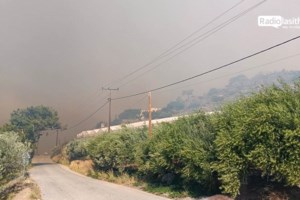 Πυρκαγιά στον Βαρνάβα Αττικής- 88 μέτωπα μόνο μέσα σε 24 ώρες: "Επιτέλους... Δεν παίζουμε με τη φωτιά" η έκκληση Κικίλια