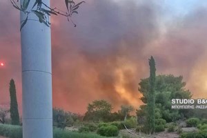 Φωτιά στη Φωκίδα: Ολονύχτια μάχη με τις φλόγες - Εκκενώθηκαν περιοχές στην Ιτέα [Εικόνες - Βίντεο] - εικόνα 3