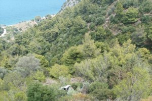 Πάτρα: ΙΧ έπεσε σε γκρεμό και εγκλωβίστηκαν μέσα δύο άτομα- Κλείδωσε το όχημα από την πτώση