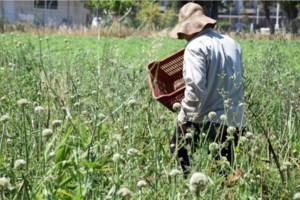 Κορονοϊός: Επικίνδυνο "άλμα" με 153 νέα κρούσματα - εικόνα 3