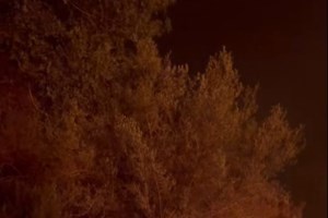 Απίστευτη Βούλτεψη για την πύρινη λαίλαπα: Η Ελλάδα έχει μόνιμους πυροσβέστες αλλά υστερεί στους εθελοντές