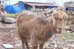 Ισχυρός σεισμός 6,4 Ρίχτερ στη Χιλή