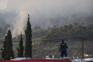 Εύβοια: Πυρκαγιά σε δασική έκταση στα Στύρα - Ισχυροί άνεμοι στην περιοχή