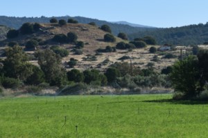 Αρχάνες: Σπουδαία αποκάλυψη από τις ανασκαφές στο Μινωικό Ανάκτορο - Εντοπίστηκε για πρώτη φορά Ιερό Πύλης - εικόνα 5