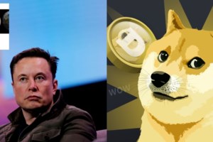 Αποχωρήσεις από το Twitter: Γιατί διεθνή ΜΜΕ γυρίζουν την πλάτη στον Ίλον Μασκ και φεύγουν από το μέσο κοινωνικής δικτύωσης