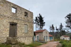 Ζώα συντροφιάς: Επιτρέπεται η είσοδός τους σε 120 αρχαιολογικούς χώρους - Εξαιρείται η Ακρόπολη