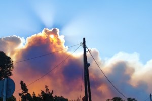 Αυτοψίες στα καμένα της Αττικής: 78 ακατάλληλες προς χρήση κατοικίες από τις 112- Οι αποζημιώσεις στις επιχειρήσεις - εικόνα 5