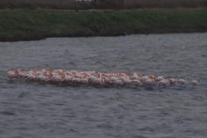 Οδηγίες Χαρδαλιά για την επέλαση του "Λέανδρου": Πώς θα προστατευτείτε από τη σφοδρή κακοκαιρία - εικόνα 3