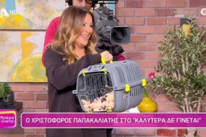 Ναταλία Γερμανού: Αποστομωτική απάντηση σε κακεντρεχές σχόλιο στο Twitter