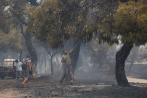 Φωτιά στη Βοιωτία: Στον εισαγγελέα οι 2 συλληφθέντες για εμπρησμό - Ψάχνουν ιδιοκτήτη εταιρείας ανεμογεννητριών