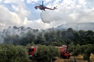 ΥΠΕΝ: Αναστέλλονται οι οικονομικές δραστηριότητες στα καμένα στον Έβρο