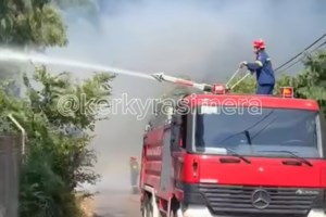 Φωτιά στη Χαλκιδική: Πυρκαγιά ξέσπασε στη Συκιά - Μεγάλη πυροσβεστική δύναμη στο σημείο