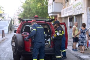 DW: Οι Γερμανοί πυροσβέστες στην Ελλάδα με την καρδιά τους - 167 άτομα με υπερσύγχρονο εξοπλισμό - εικόνα 3