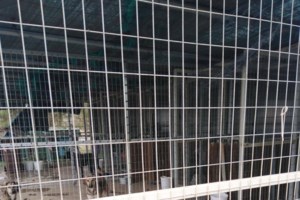 Το πληγωμένο σκυλάκι του κυνοκομείου Κορωπίου ζούσε σε σπίτι, είχε οικογένεια, είχε όνομα, είχε ζωή