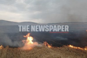 Συναγερμός για φωτιά στον Όλυμπο κοντά στο καταφύγιο της Κορομηλιάς: Επιχειρούν πεζοπόρα τμήματα και ελικόπτερο