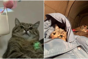 Πόλεμος στην Ουκρανία: Πάνω από 3,3 εκατομμύρια πρόσφυγες έχουν διαφύγει από τη χώρα - εικόνα 3