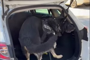 Για πρώτη φορά αυτοκίνητο υδρογόνου στους ελληνικούς δρόμους - Aντί για καυσαέριο παράγει καθαρό νερό [εικόνες] - εικόνα 2