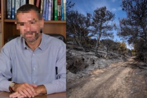 Εμπρησμοί στη Νέα Μάκρη: Η μαρτυρία "κλειδί" του γείτονα που οδήγησε στις συλλήψεις - "Ο γιος σου είναι" - εικόνα 3