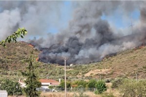 Ροδόπη: Μαίνεται η μεγάλη φωτιά στη Νέα Σάντα - Στη μάχη 13 εναέρια μέσα - Επιπλέον 40 δασοκομάντος από Ελευσίνα - εικόνα 2