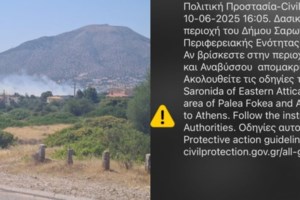 Φωτιά στο Χαλάνδρι: Κάηκαν αποδυτήρια και αποθηκευτικός χώρος σε γηπεδάκια ποδοσφαίρου [βίντεο]
