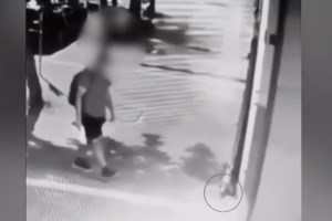 Θεσσαλονίκη: Ποινική δίωξη για κακούργημα στον διδάκτορα του ΑΠΘ που ποδοπάτησε το γατάκι