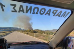 Φωτιά ξανά στο Σχινιά δίπλα από το κωπηλατοδρόμιο - Mεγάλη επιχείρηση της Πυροσβεστικής - εικόνα 3