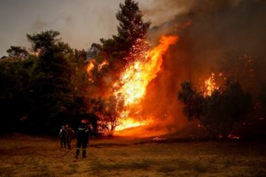 Τι πήγε στραβά και ξέφυγαν οι φωτιές σε Έβρο και Πάρνηθα: Η εξήγηση της κυβέρνησης και οι αιχμές για τις αιτίες