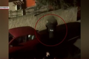 Βίντεο ντοκουμέντο: Ρομά επιτέθηκαν σε περιπολικό – Το εγκατέλειψαν οι αστυνομικοί, ολόκληρη επιχείρηση για να το πάρουν πίσω - εικόνα 2