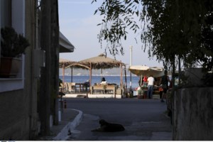 Συμβόλαιο... ξυλοδαρμού στην Αίγινα: Η γνωστή ξενοδόχος, ο ιδιοκτήτης κλαμπ στην Καλλιθέα και οι "μισθωμένοι" μποξέρ - εικόνα 2