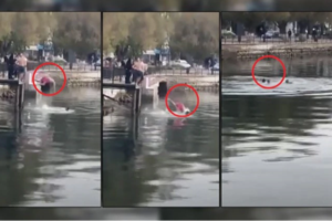 Αμάρυνθος: Συγκλονίζει ο ψαράς που μετέφερε τον 24χρονο - "Δεν κουνιότανε αλλά μιλούσε και ζητούσε νερό" [βίντεο]