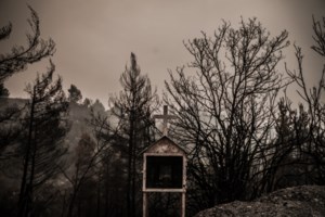 Φωτιές: Έρχονται και άλλοι ξένοι πυροσβέστες - Το "ευχαριστώ" Μητσοτάκη στους Πολωνούς - εικόνα 3