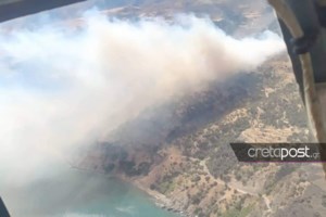 Φωτιά στο Κορωπί: Μεγάλη κινητοποίηση της πυροσβεστικής - Επιχειρούν και εναέρια μέσα