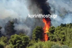 Φωτιά στις Μυκήνες: Πέρασε μέσα από τον αρχαιολογικό χώρο - Απίστευτες εικόνες και βίντεο - εικόνα 14