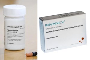 Ευλογιά των πιθήκων: Δεν υπάρχουν αποδείξεις ότι ο ιός έχει μεταλλαχθεί - Οι οδηγίες του ECDC για τα κρούσματα