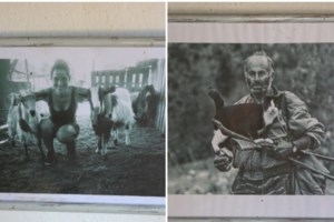 Καβάλα: "Με έβαζε να κουβαλάω 20 κιλά ζωοτροφές ενώ ήμουν έγκυος" - Τα ασφαλιστικά μέτρα της 30χρονης [Βίντεο] - εικόνα 3