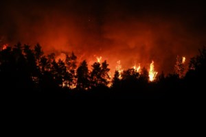 "Τρεις συλλήψεις στην Κρήτη για φωτιά - Ακραίες συνθήκες και αύριο": Η ενημέρωση της Πυροσβεστικής