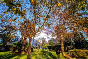 Πρόγνωση Μαρουσάκη: "Φθινοπωρινού τύπου κακοκαιρία" από την Τετάρτη με βροχές και καταιγίδες [βίντεο]