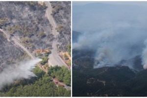 Στη Φυλή έχει πέσει το βάρος στη φωτιά της Πάρνηθας- Μάχη με τις αναζωπυρώσεις σε Έβρο και Βοιωτία [Εικόνες-Βίντεο]