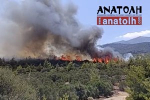 Φωτιά στην Αιτωλοακαρνανία: Μήνυμα από το 112 για εκκένωση από Ευηνοχώρι και Κοκώρη - εικόνα 5