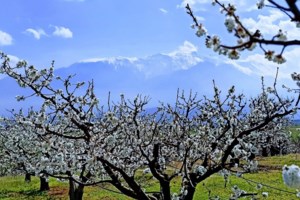 Τζόκερ κλήρωση 2268: Αυτοί είναι οι τυχεροί αριθμοί για σήμερα (6/4/2021) - εικόνα 3