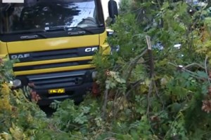 Ειρωνική απάντηση Δούκα στα σχόλια για το τροχαίο: Δέντρο έτρεχε με ταχύτητα και έπεσε σε νταλίκα - Φυσικά, φταίει ο Δήμαρχος - εικόνα 3