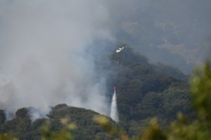 Φωτιά στη Θάσο: Κοντά στις κατασκηνώσεις της Ποταμιάς το μέτωπο [εικόνες-βίντεο]