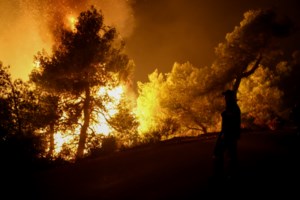 Φωτιά στο Ρέθυμνο: Οργανωμένο εμπρησμό καταγγέλλει ο δήμαρχος στον Άγιο Βασίλειο - Υπό πλήρη έλεγχο η πυρκαγιά