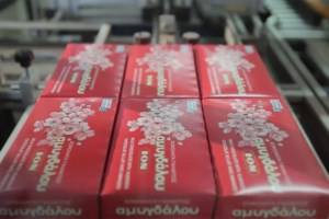 Στα χέρια του Σπύρου Θεοδωρόπουλου η πλειοψηφία της σοκολατοβιομηχανίας ΙΟΝ