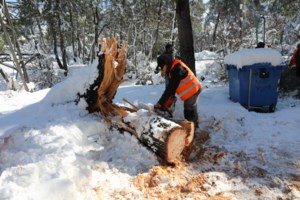 Εντυπωσιακά στοιχεία της Πυροσβεστικής για τις επιπτώσεις της "Μήδειας" στην Αττική - εικόνα 4