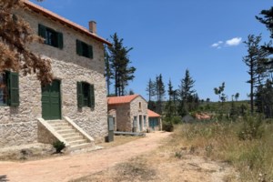 Τατόι: 70.000 θησαυροί του έρχονται στο φως - Προσβάσιμη στο κοινό η μεγαλύτερη συλλογή του είδους της [εικόνες] - εικόνα 9