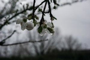 Έκτακτο Δελτίο Επιδείνωσης Καιρού: Έρχεται κακοκαιρία με καταιγίδες, κεραυνούς και χαλάζι - εικόνα 5